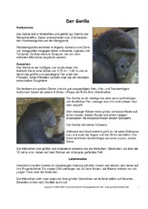Gorilla-Steckbrief-Seite-1-2.pdf